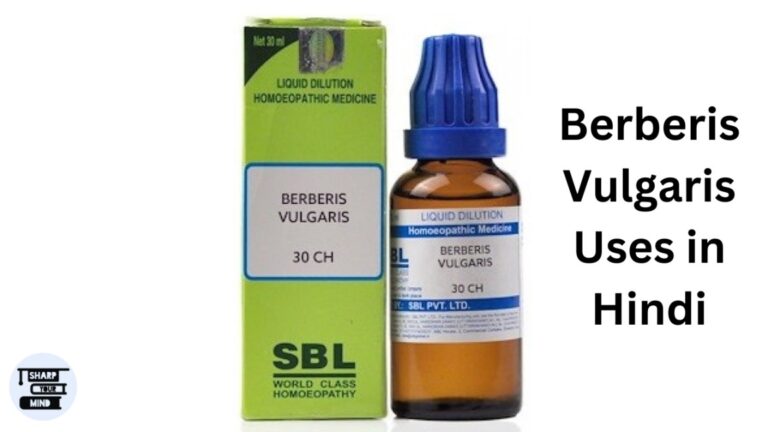 Dr. Reckeweg Berberis Vulgaris Uses in Hindi- डोज, उपयोग एवं लाभ