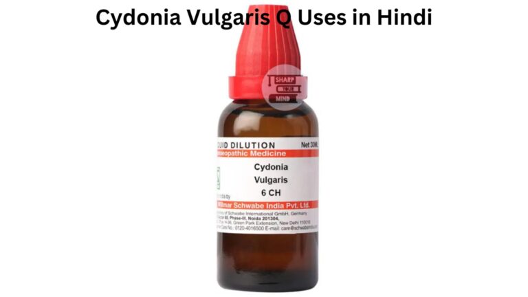 Cydonia Vulgaris Q Uses in Hindi की जानकारी, लाभ, फायदे व उपयोग