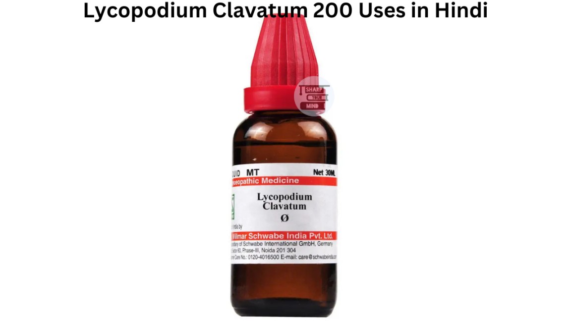 Lycopodium Clavatum 200 Uses in Hindi