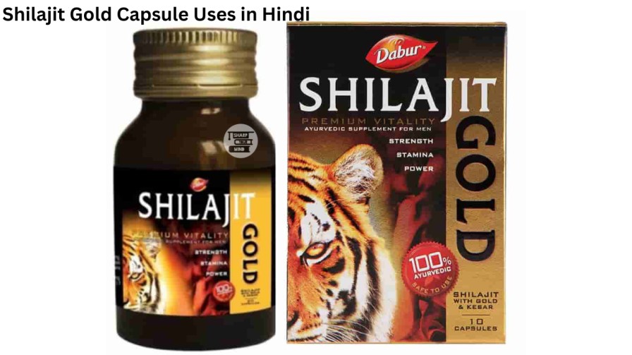 Shilajit Gold Capsule Uses in Hindi