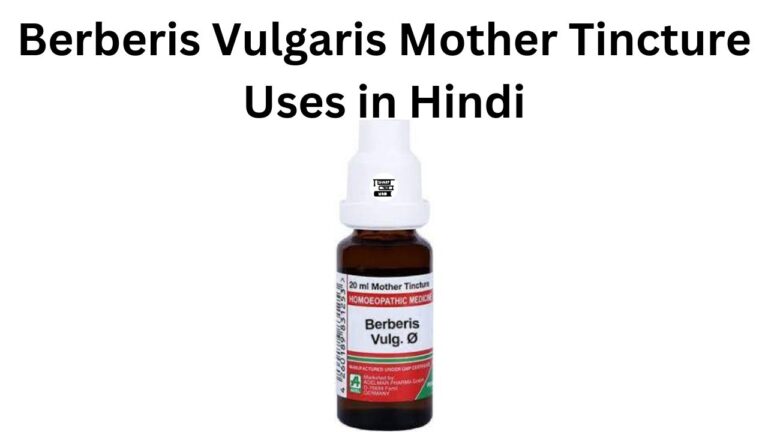 Berberis Vulgaris Mother Tincture Uses in Hindi की जानकारी