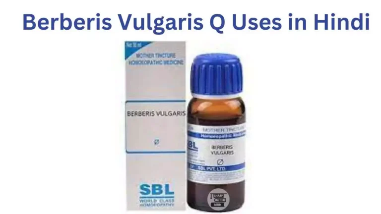 Berberis Vulgaris Q Uses in Hindi की जानकारी, उपयोग, फायदे, नुकसान