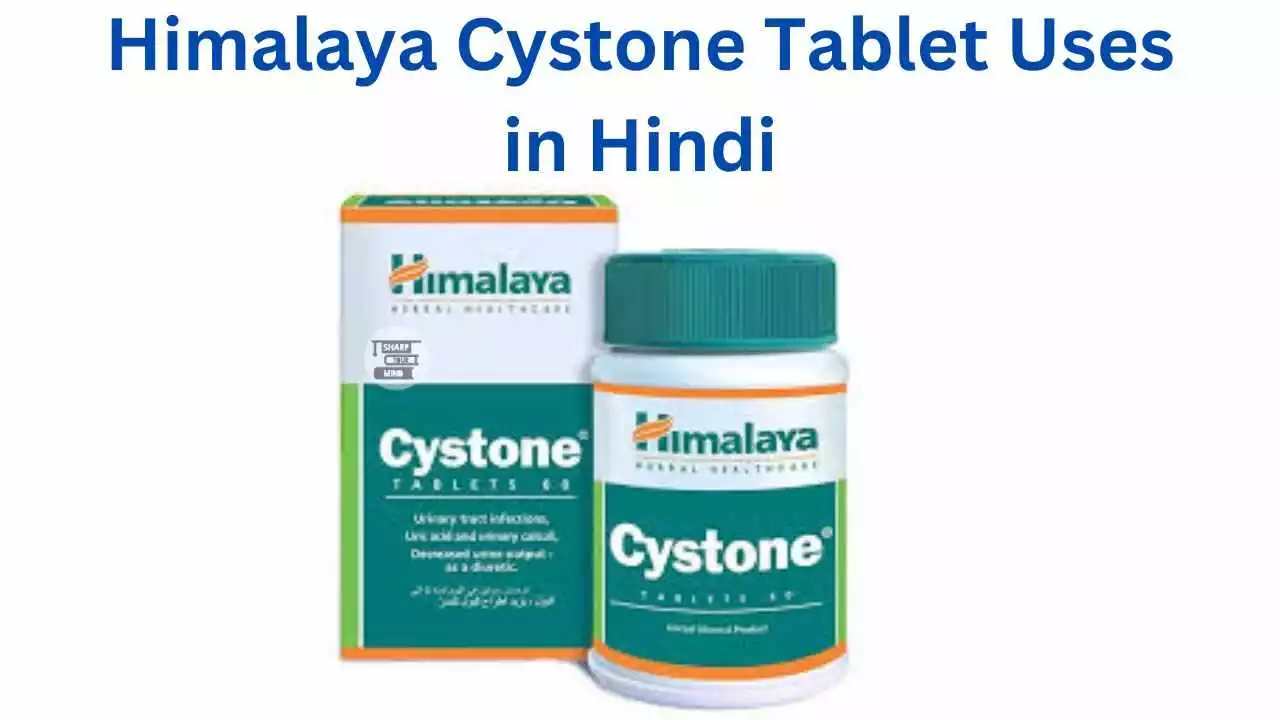 Himalaya Cystone Tablet Uses in Hindi