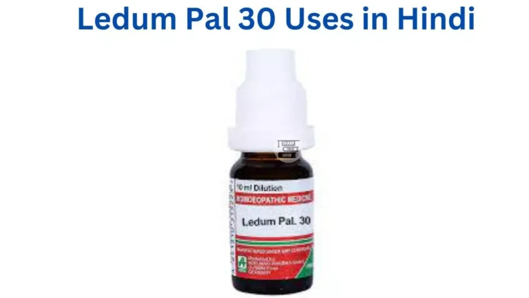 Ledum Pal 30 Uses in Hindi की जानकारी, लाभ, फायदे, उपयोग, सामग्री