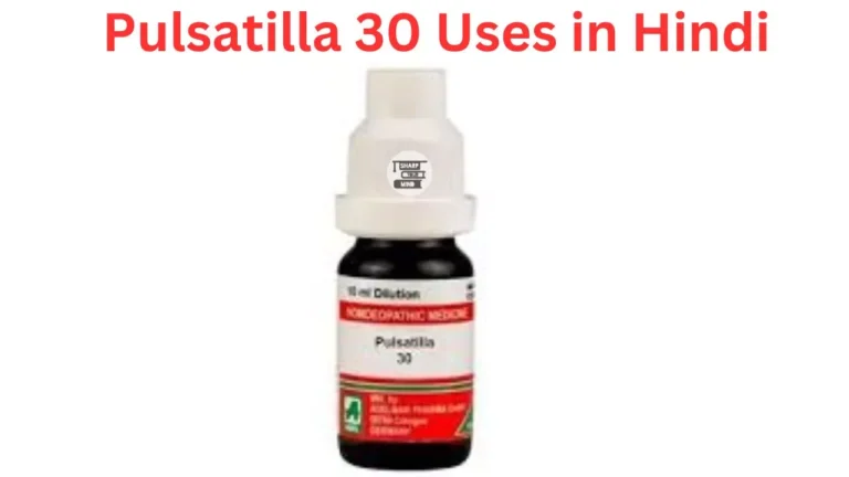 Pulsatilla 30 Uses in Hindi की जानकारी, लाभ, फायदे, उपयोग