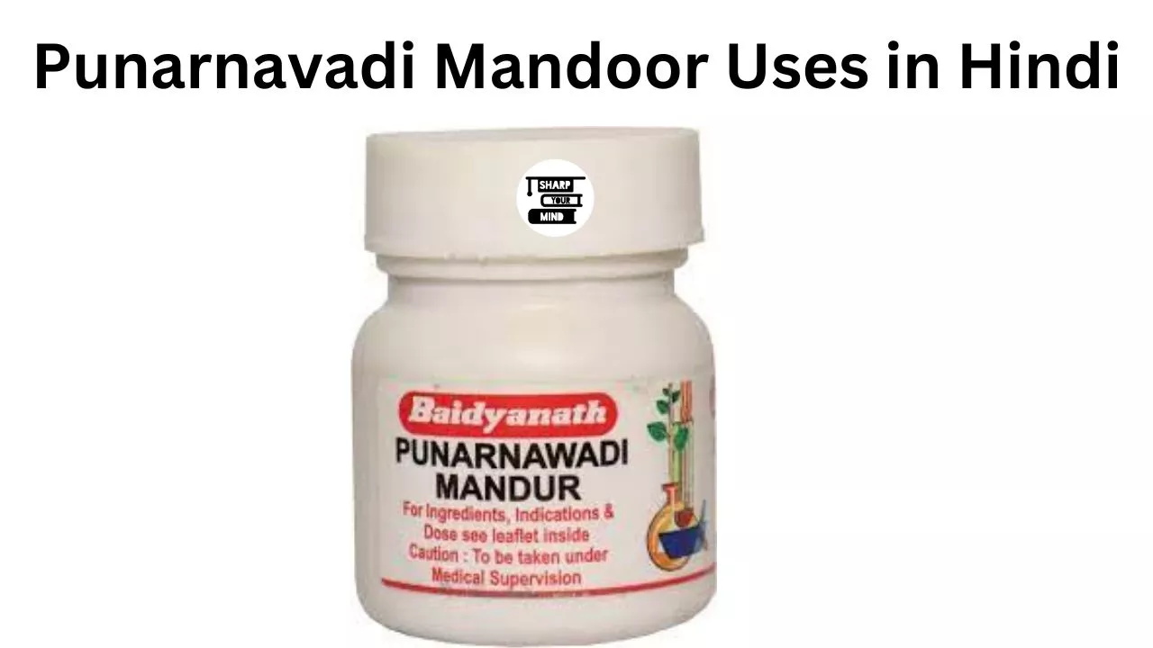 Punarnavadi Mandoor Uses in Hindi