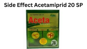 Side Effect Acetamiprid 20 SP