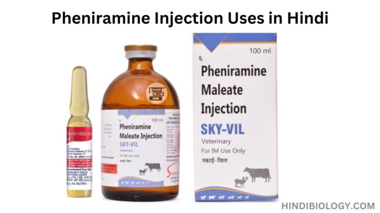 Pheniramine Injection Uses in Hindi- की जानकारी, लाभ, फायदे, उपयोग