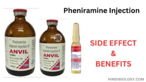 Pheniramine Injection side effect and benefits
