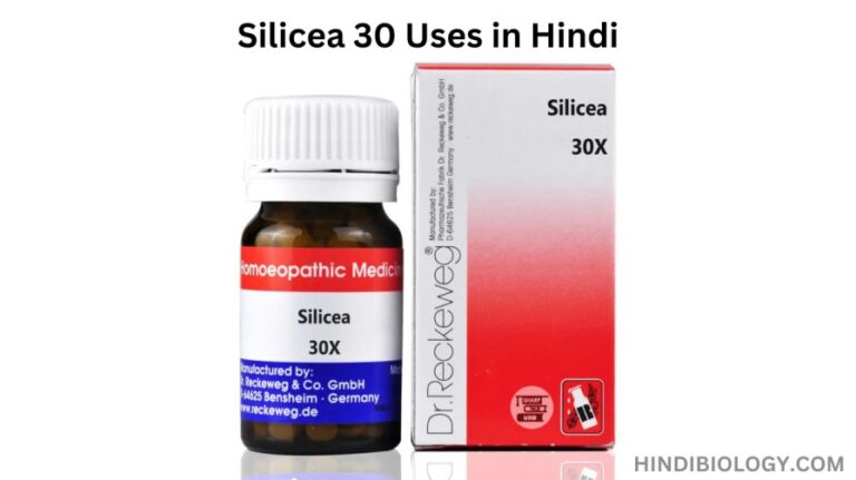 Silicea 30 Uses in Hindi – की जानकारी, लाभ, फायदे, उपयोग