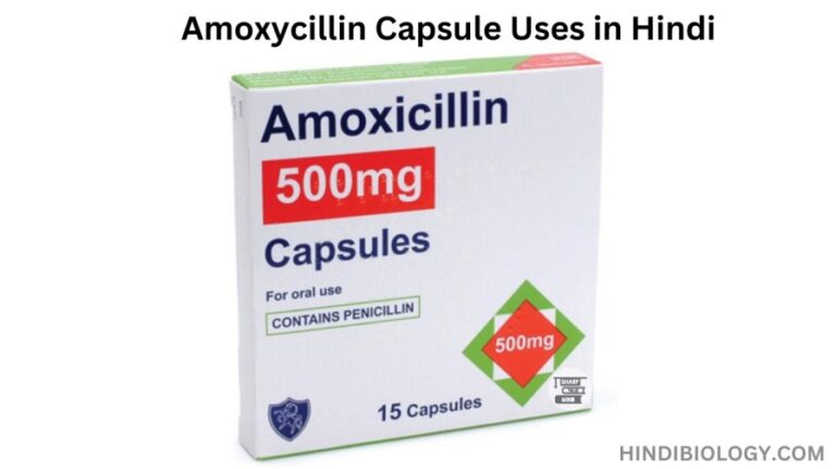 Amoxycillin Capsule Uses in Hindi – की जानकारी, लाभ, फायदे, उपयोग