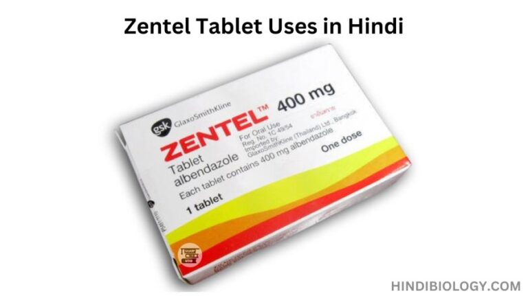 Zentel Tablet Uses in Hindi – की जानकारी, लाभ, फायदे, उपयोग