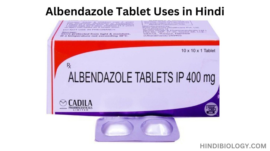 Albendazole Tablet Uses in Hindi