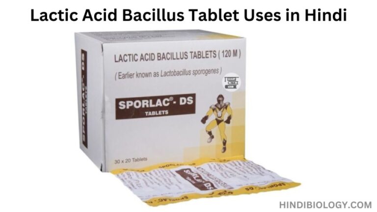 Lactic Acid Bacillus Tablet Uses in Hindi – दस्त में लाभकारी है ये दवा